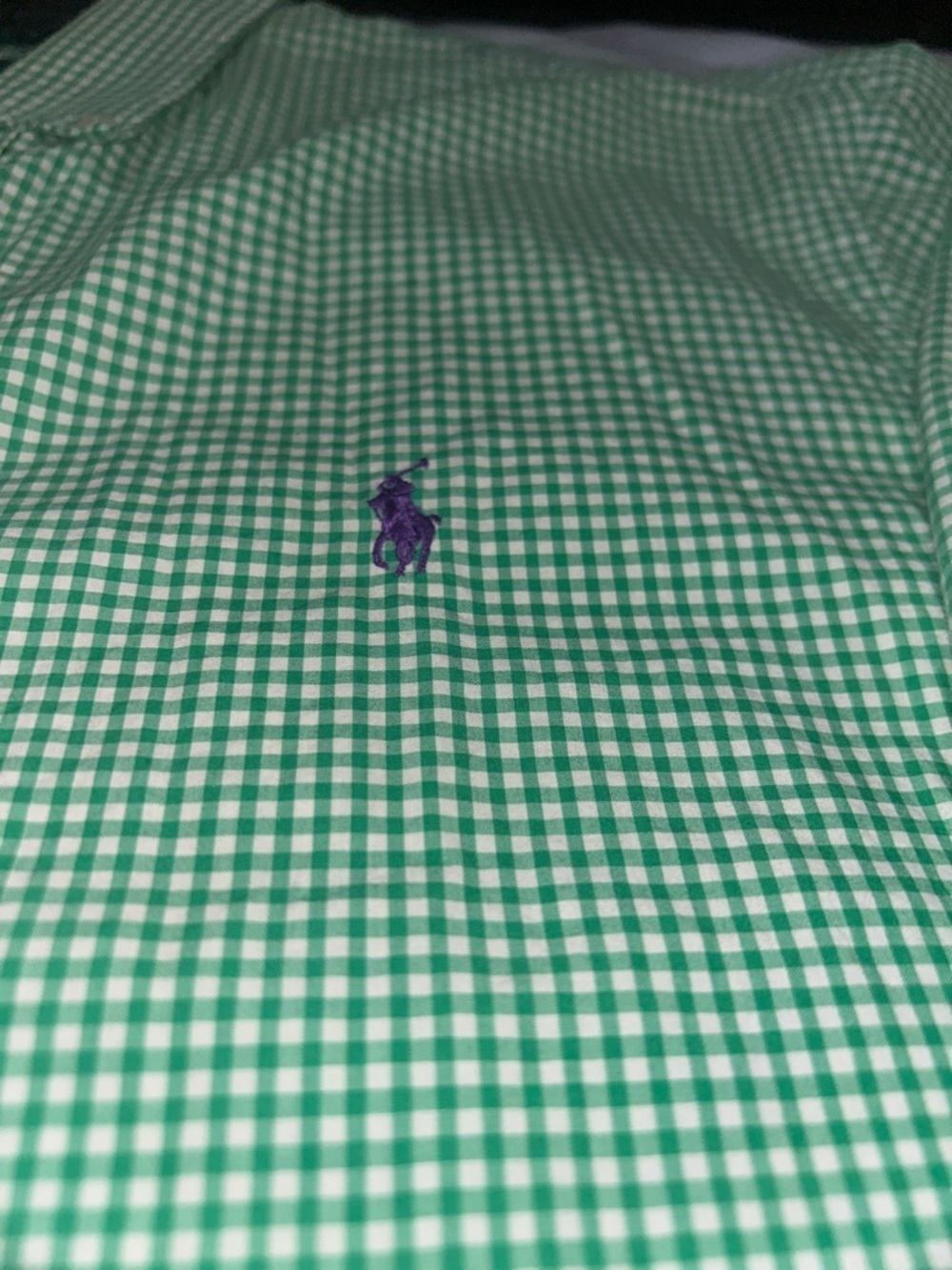 Ralph Lauren Mint Green Gingham Button-Down Shirt Ptp 25” Host Pick - Picture 3 of 4